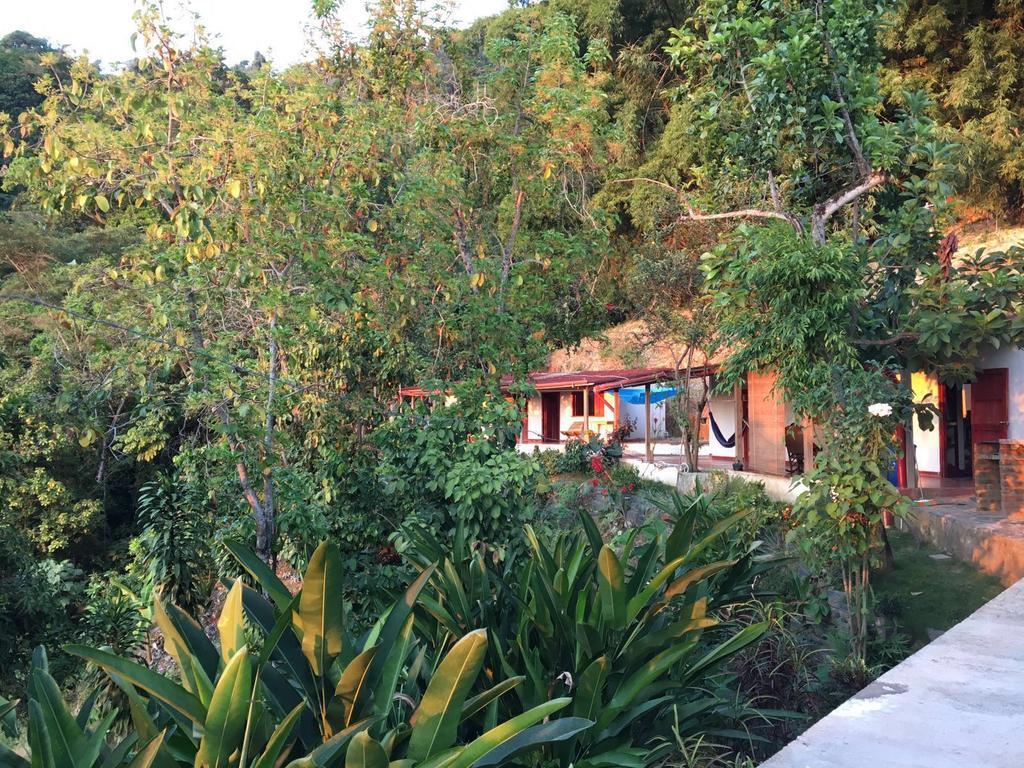 Finca San Rafael - Cafe Y Cacao Minca Exteriör bild