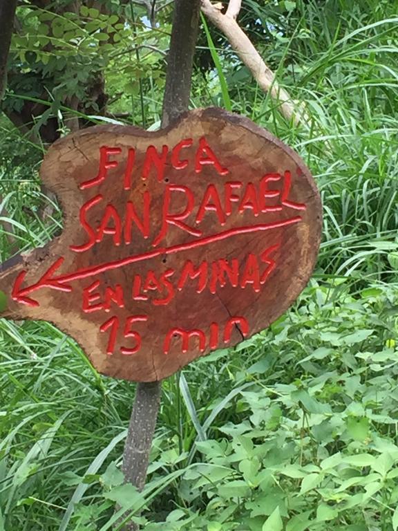 Finca San Rafael - Cafe Y Cacao Minca Exteriör bild