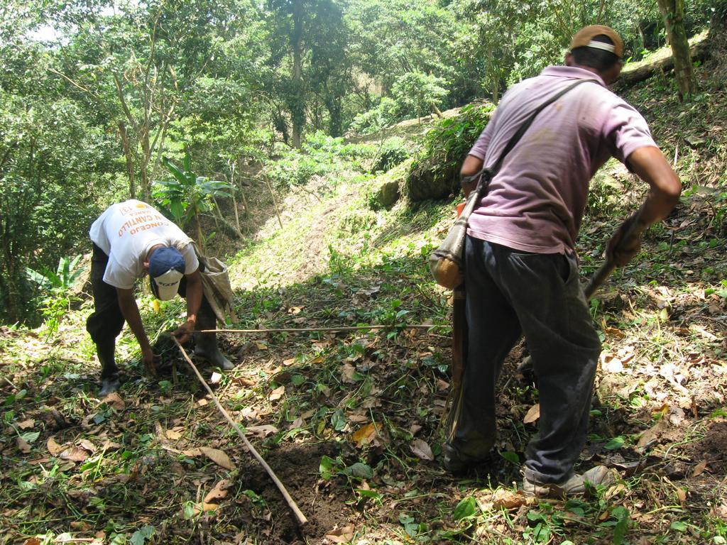 Finca San Rafael - Cafe Y Cacao Minca Exteriör bild