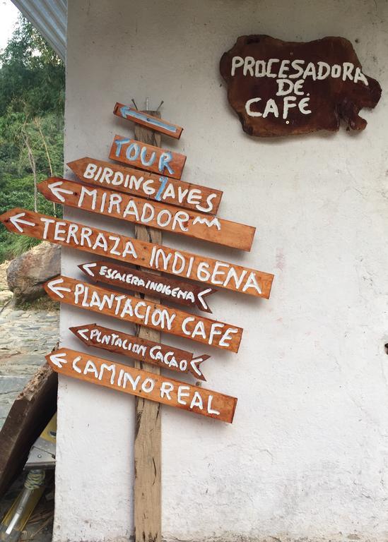 Finca San Rafael - Cafe Y Cacao Minca Exteriör bild