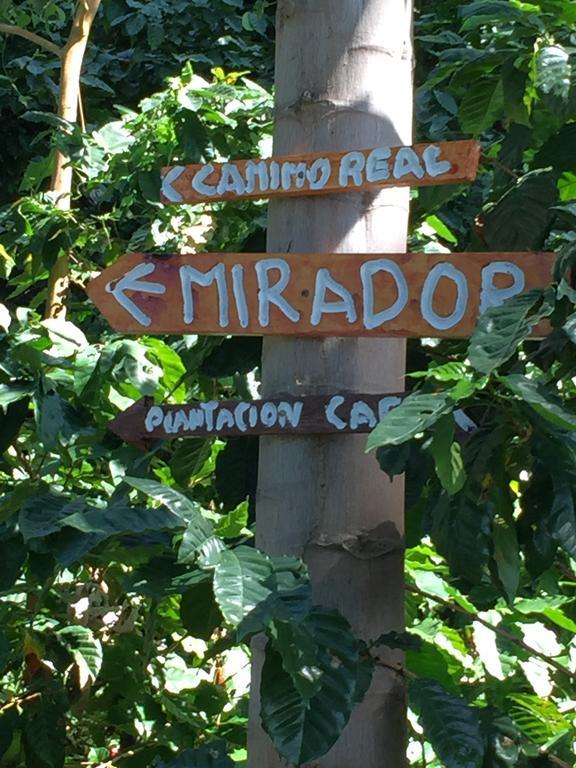 Finca San Rafael - Cafe Y Cacao Minca Exteriör bild