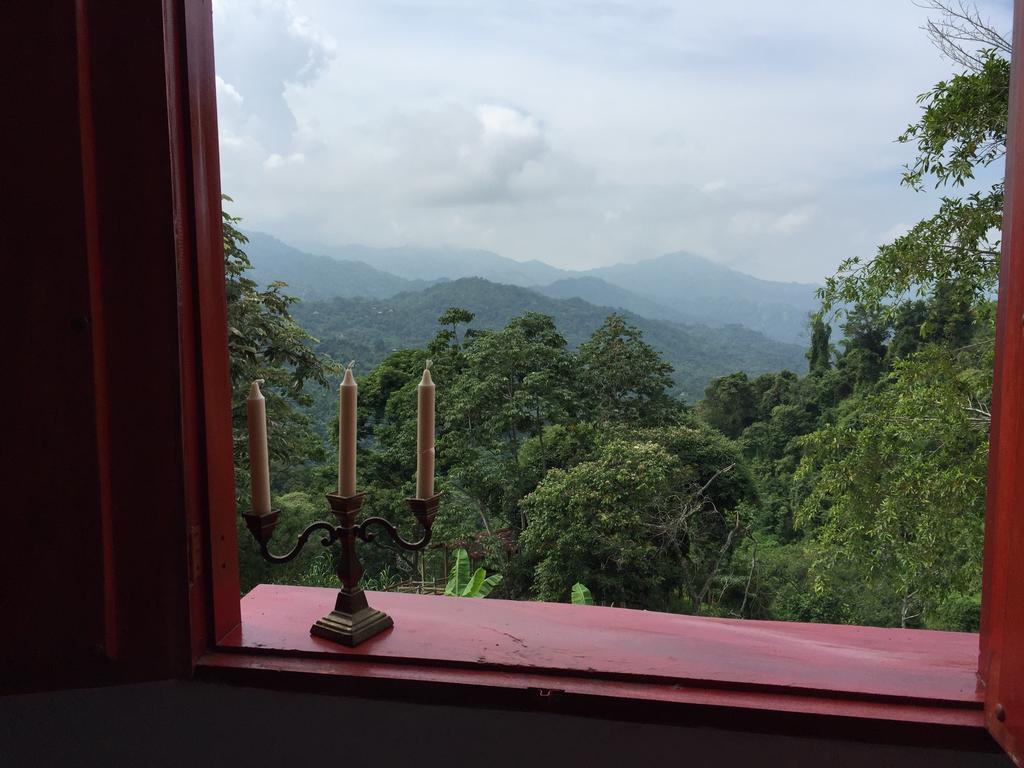 Finca San Rafael - Cafe Y Cacao Minca Exteriör bild