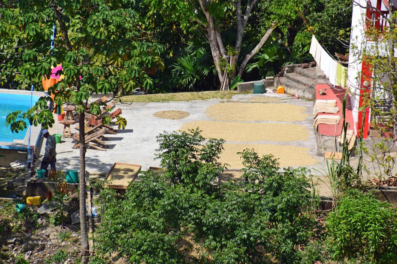 Finca San Rafael - Cafe Y Cacao Minca Exteriör bild