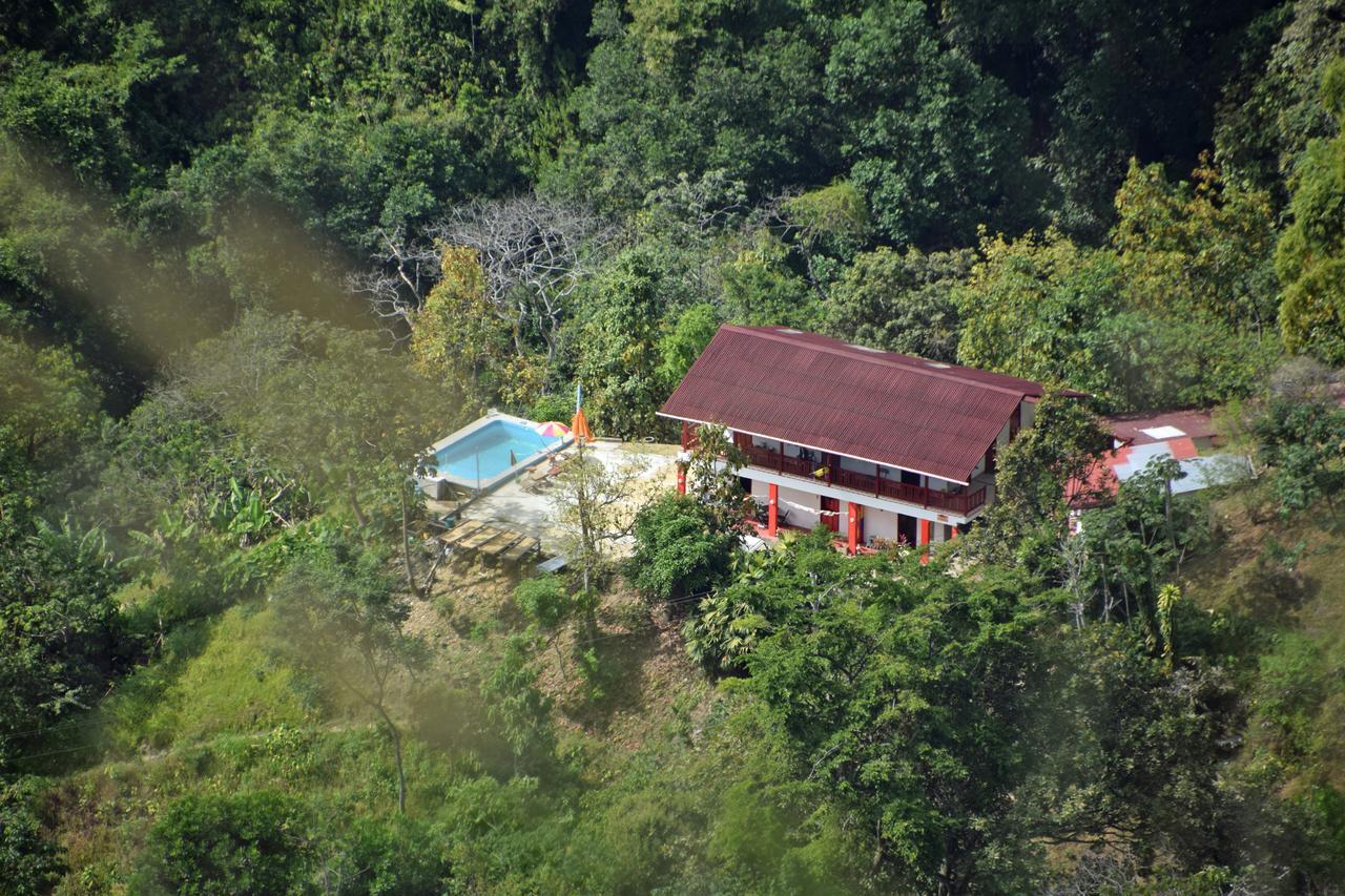 Finca San Rafael - Cafe Y Cacao Minca Exteriör bild